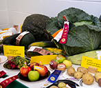 Vegetables on display