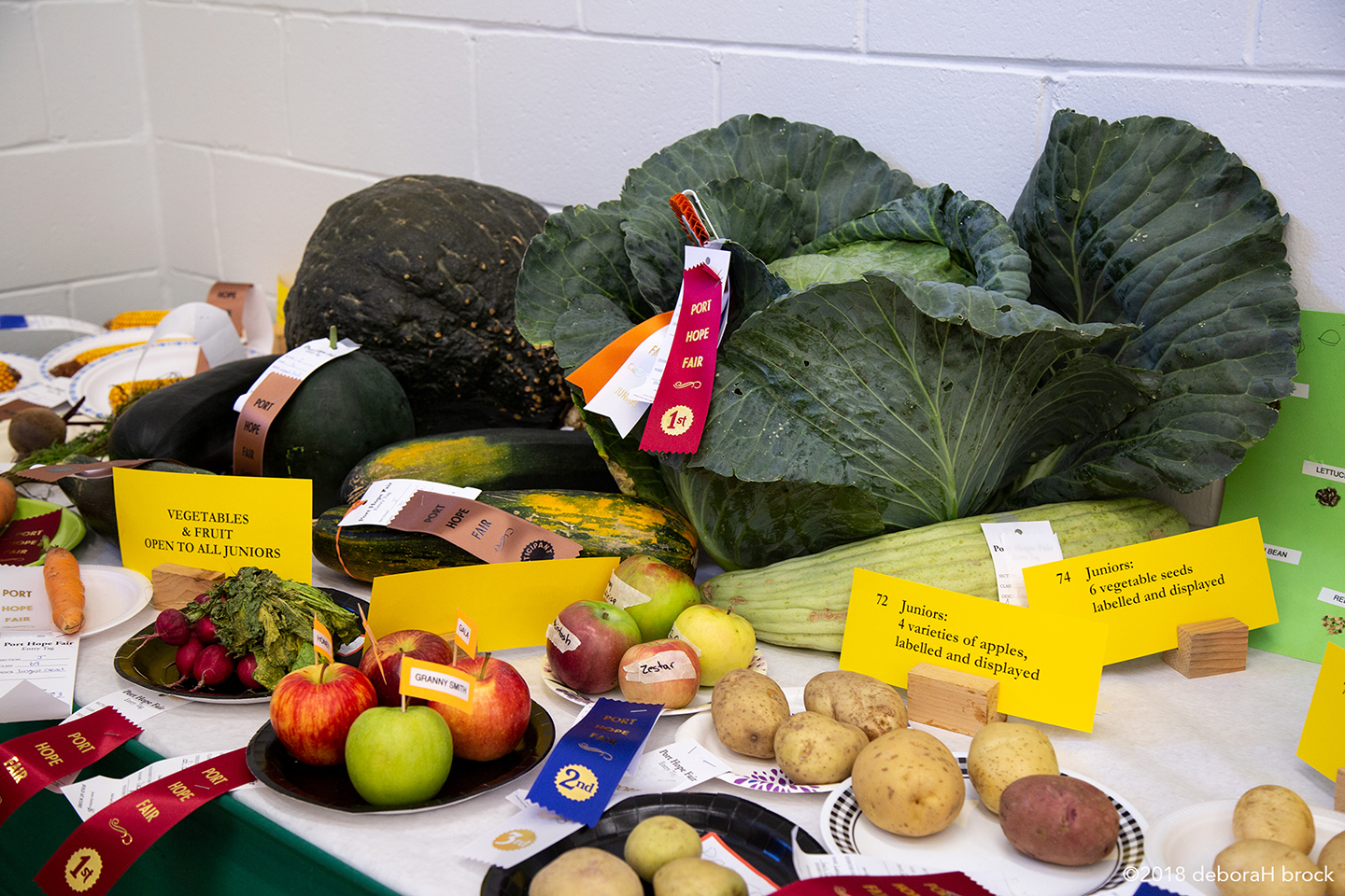 Port Hope Fall Fair Agriculture Fair Growers Market Equestrian