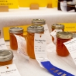 Raw honey on sale
